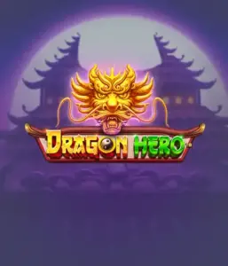 Отправьтесь в мифическое приключение с Dragon Hero от Pragmatic Play, представляющей захватывающую графику древних драконов и эпических столкновений. Погрузитесь в царство, где фантазия встречается с приключением, с символами вроде зачарованных оружий, мистических существ и сокровищ для захватывающего слот-опыта.